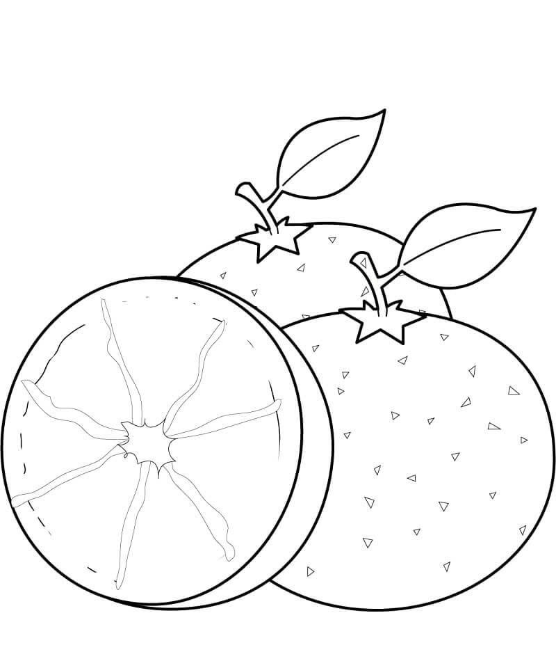 tranh tô màu quả cam 4