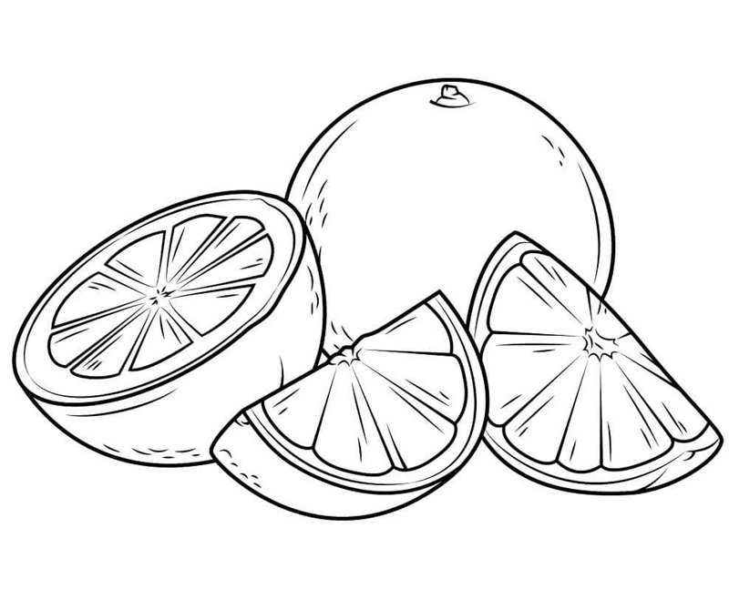 tranh tô màu quả cam 5