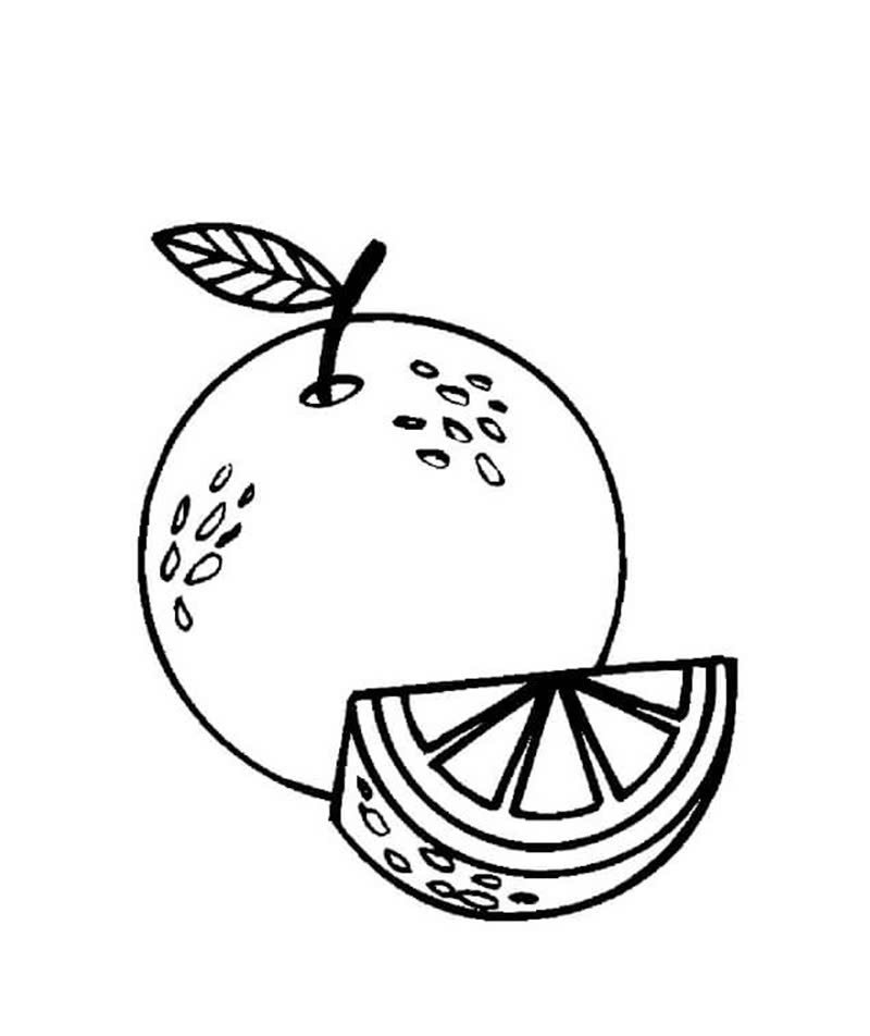 tranh tô màu quả cam 6