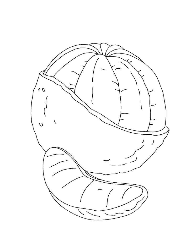 tranh tô màu quả cam 8