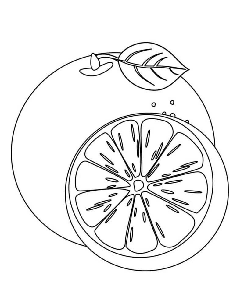 tranh tô màu quả cam 9