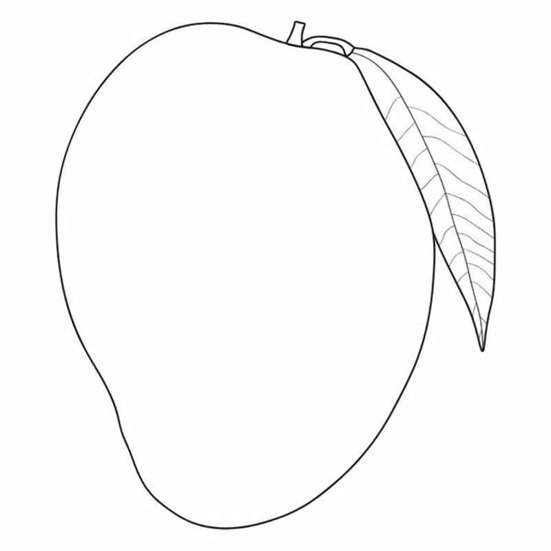 tranh tô màu quả xoài 14