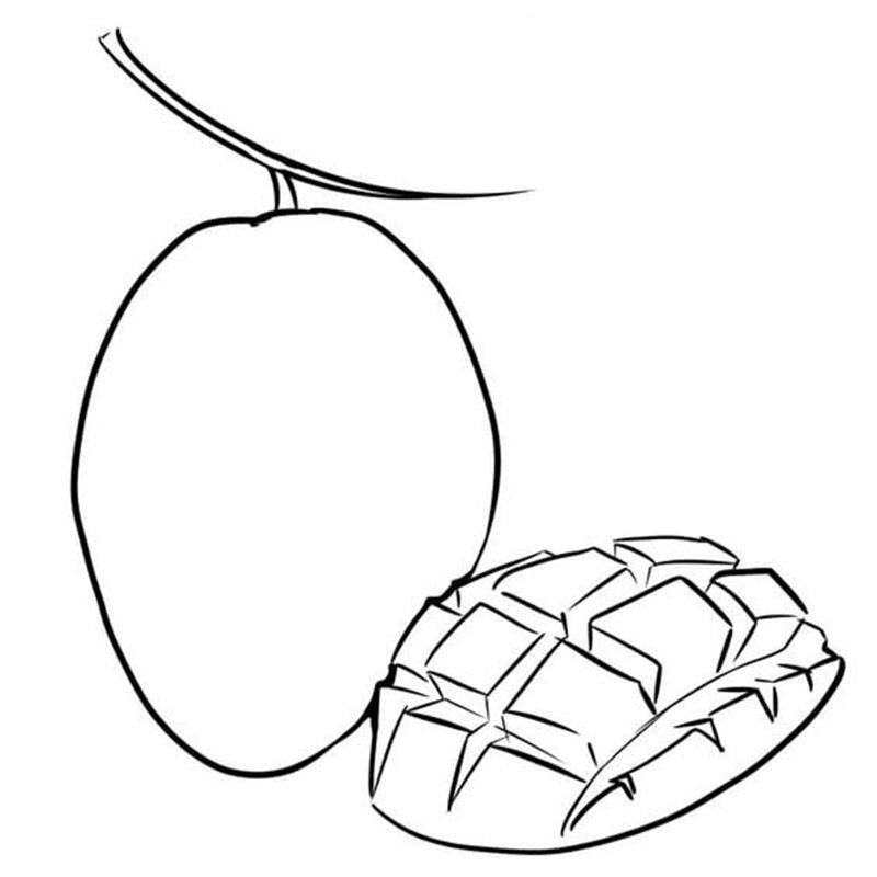 tranh tô màu quả xoài 3