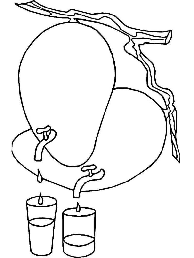 tranh tô màu quả xoài 31